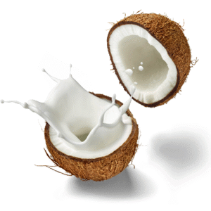 🥥 Kelapa Santan Premium